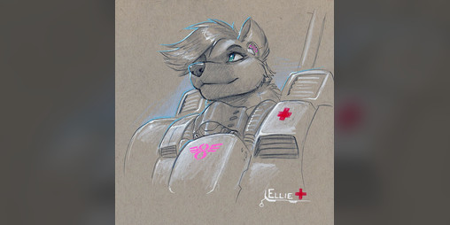 Cover image for Interlopers