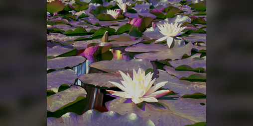 Cover image for Lilian