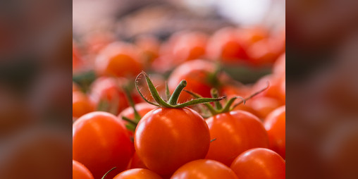 Cover image for Salade de tomates cerise (FR)
