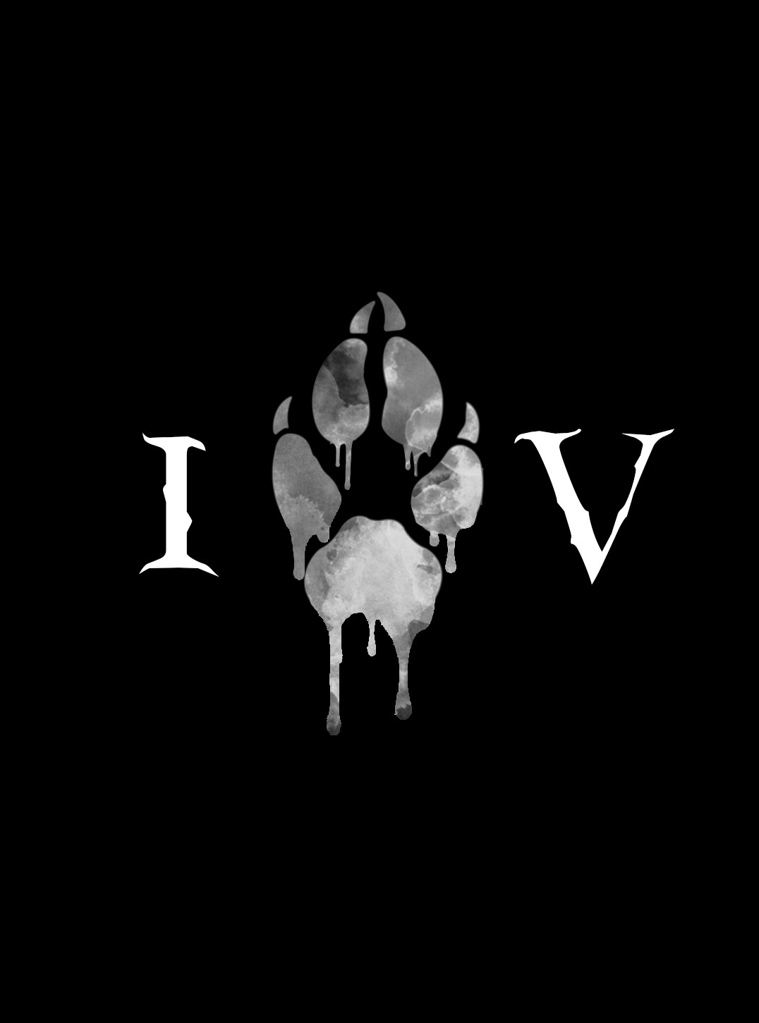 Iter Veritatis
