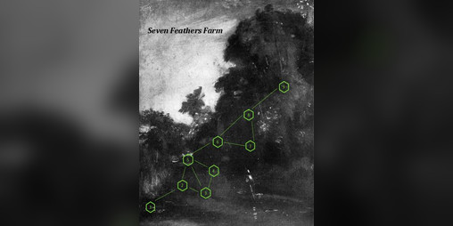 Cover image for Seven Feathers Farm
