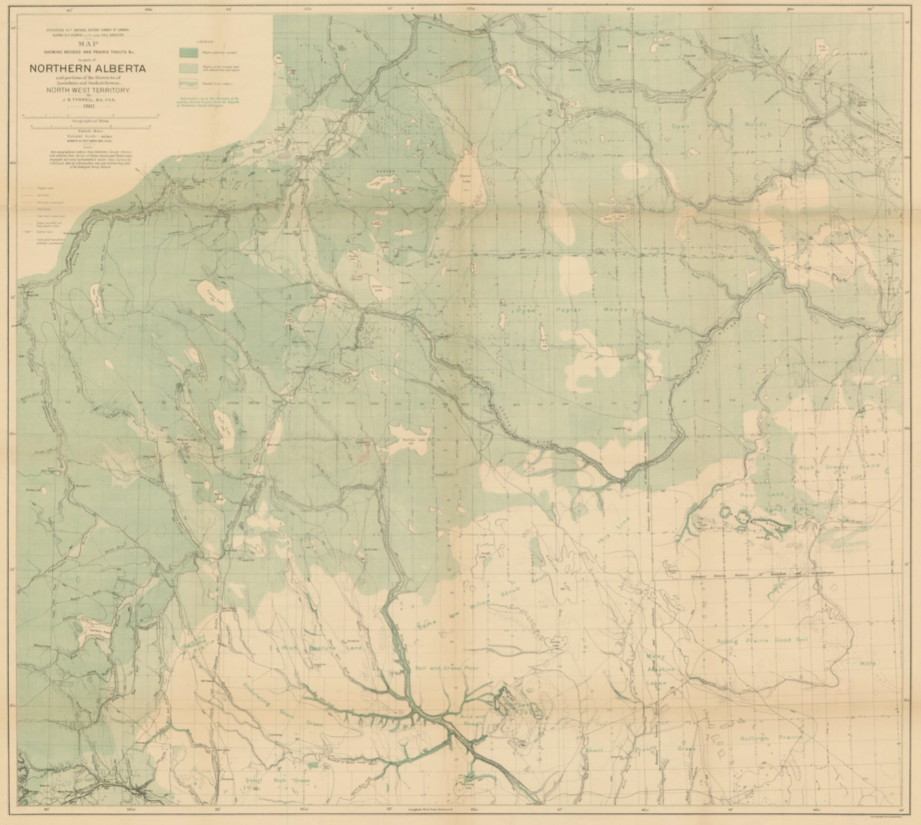 Cover image for wâpahtamowin