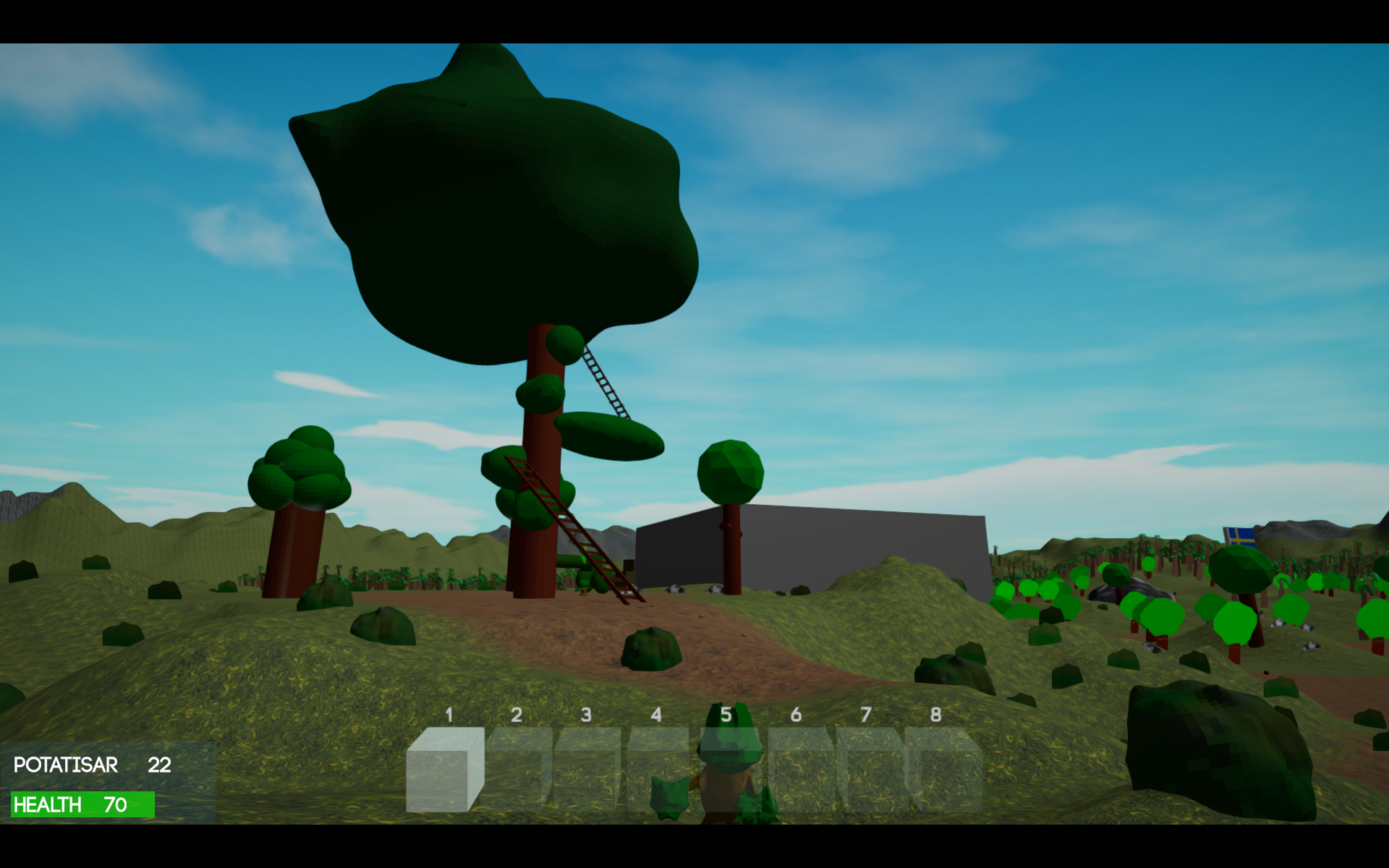 Jungle Mystery