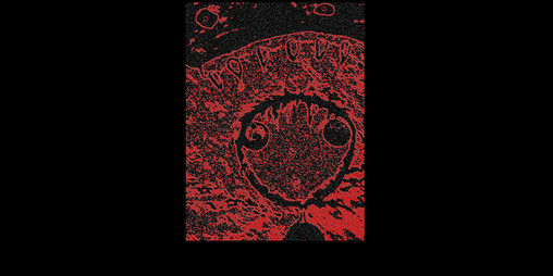 Cover image for Frequency Modulations