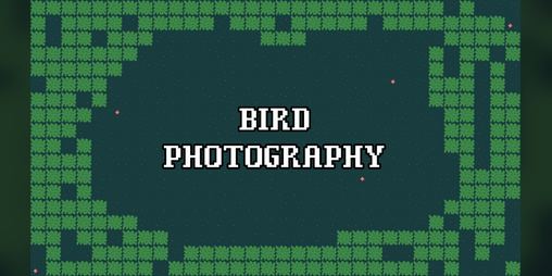 Cover image for Bird Photography