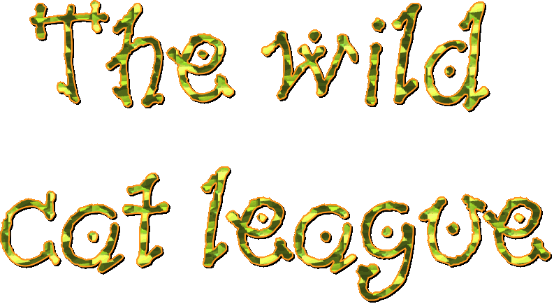 The Wild Cat League