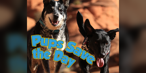 Cover image for Pups Save the Day