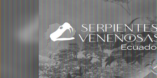 Cover image for Serpientes Venenosas Ecuador - Venomous Snakes Ecuador
