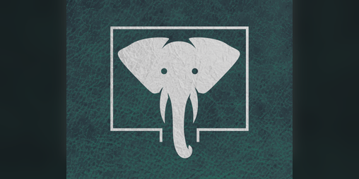 Cover image for The Elephant in the Room