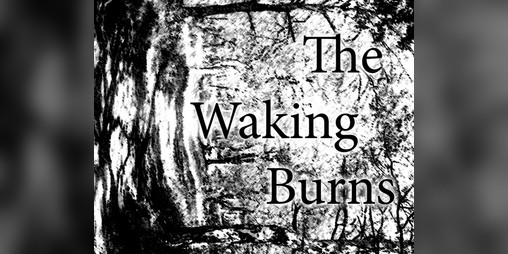Cover image for The Waking Burns