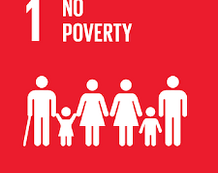 No_Poverty Game