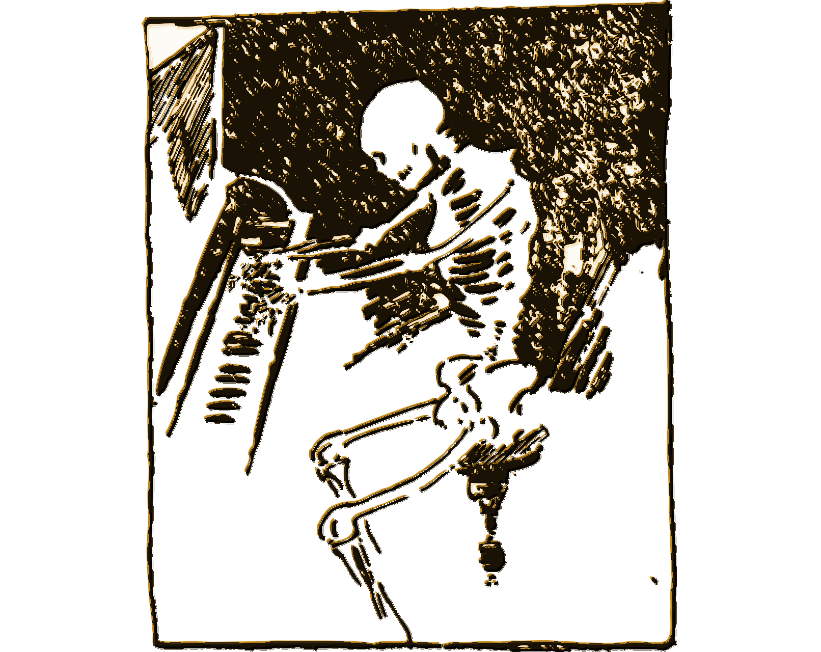 Cover image for The Skeleton Diary