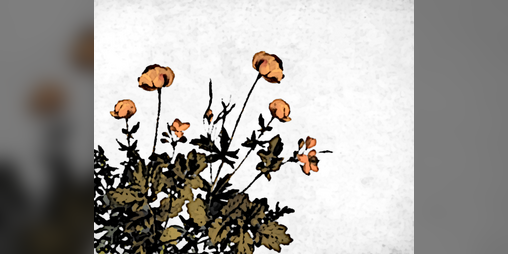 Cover image for all corners swept