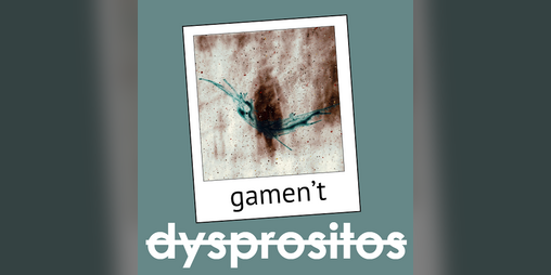 Cover image for gamen't