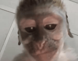 Jelly Scuffed Bhop Platform