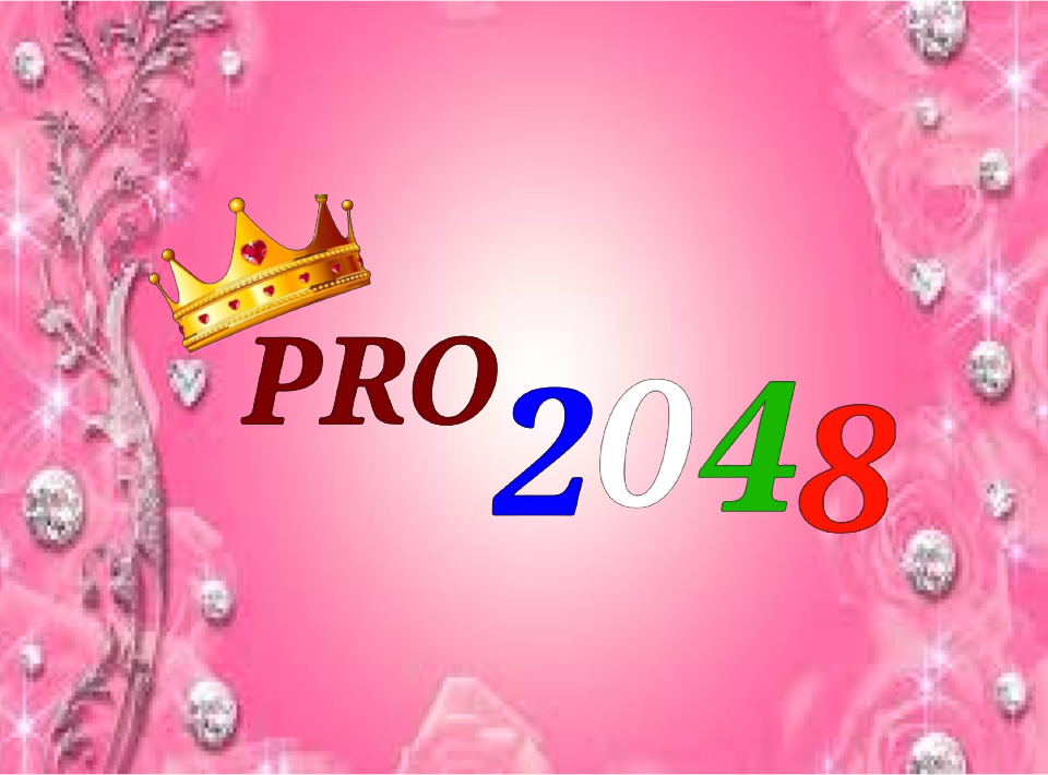 Pro 2048