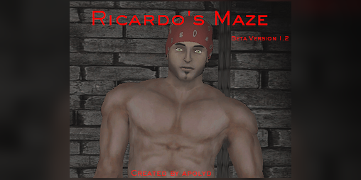 Cover image for Ricardo's Maze