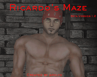 Ricardo's Maze