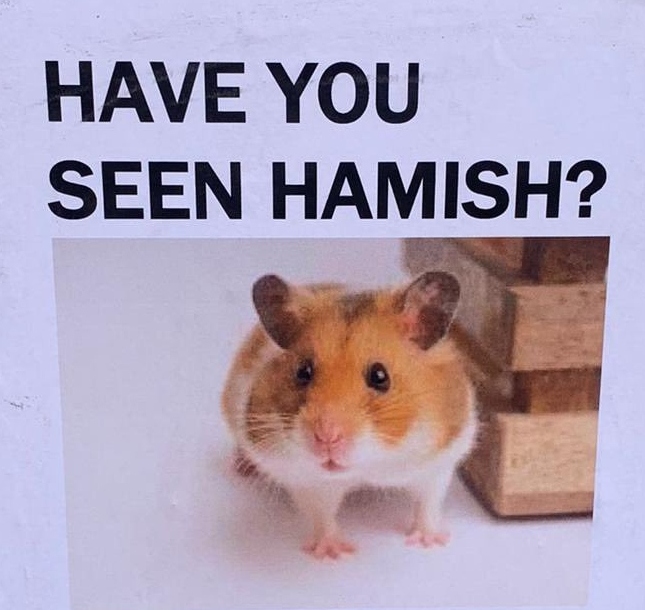 Hamish