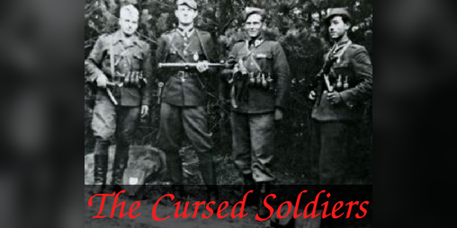 Cover image for The Cursed Soldiers