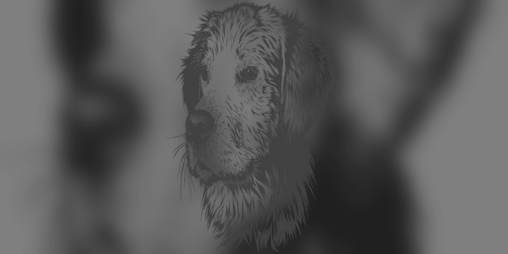 Cover image for Dog: The One Page RPG