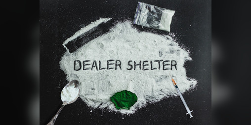 Cover image for Dealer Shelter