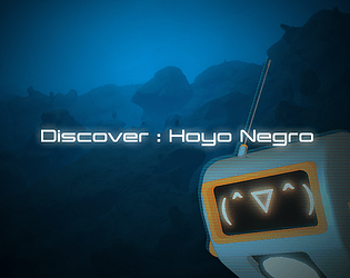 HoyoNegroTest