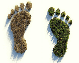 My Footprint