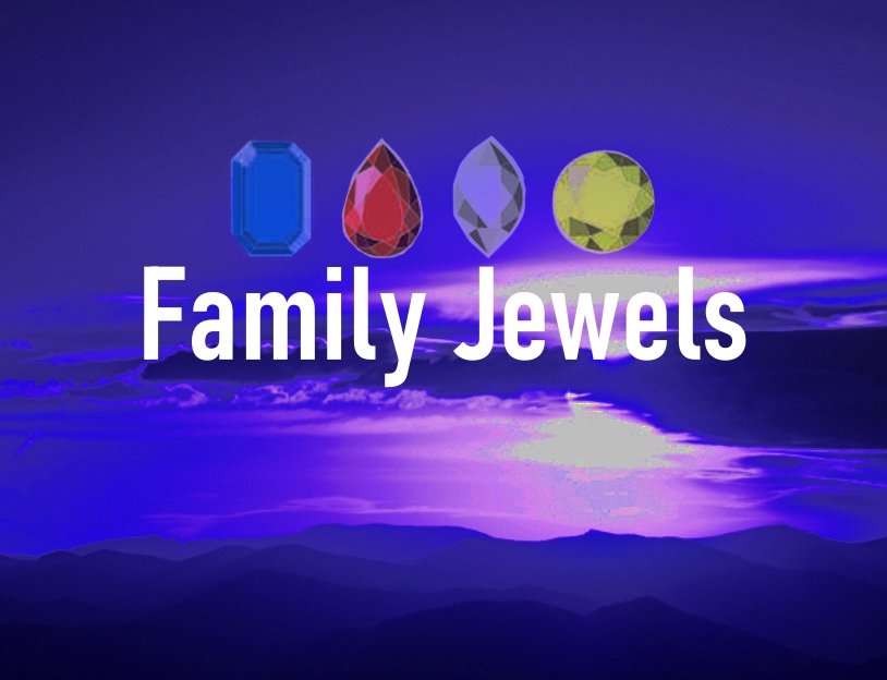 Cover image for Family Jewels