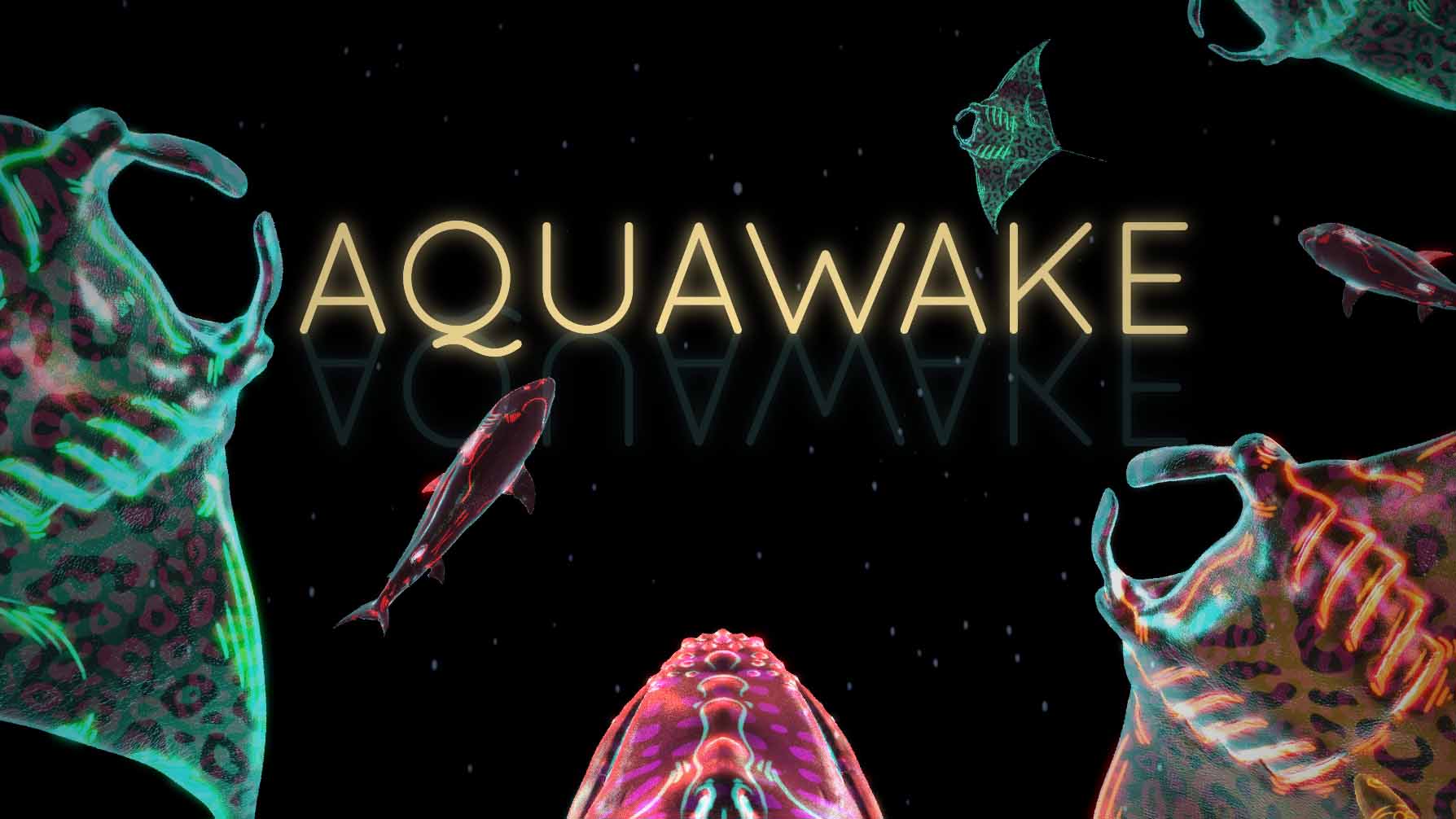 Aquawake