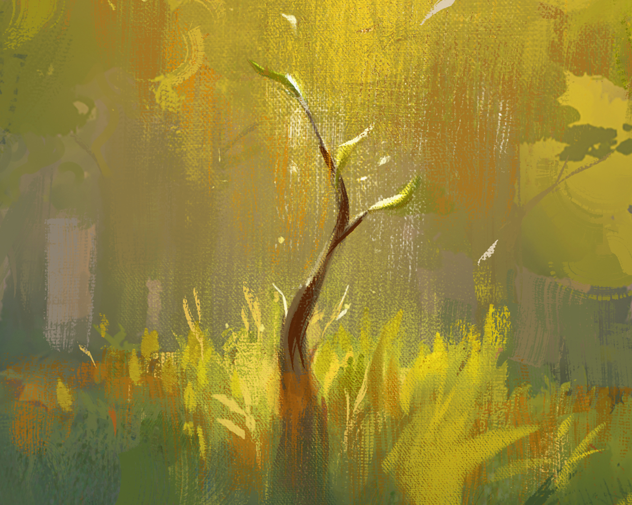 Sunlight