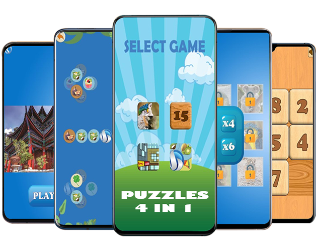 Puzzles 4 in 1