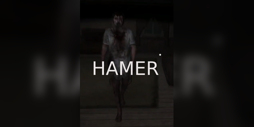 Cover image for HAMER!!