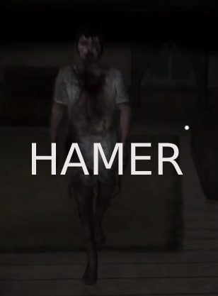 Cover image for HAMER!!