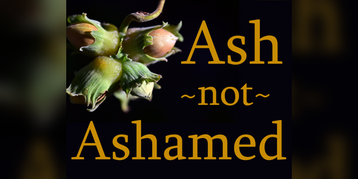 Cover image for Ash Not Ashamed