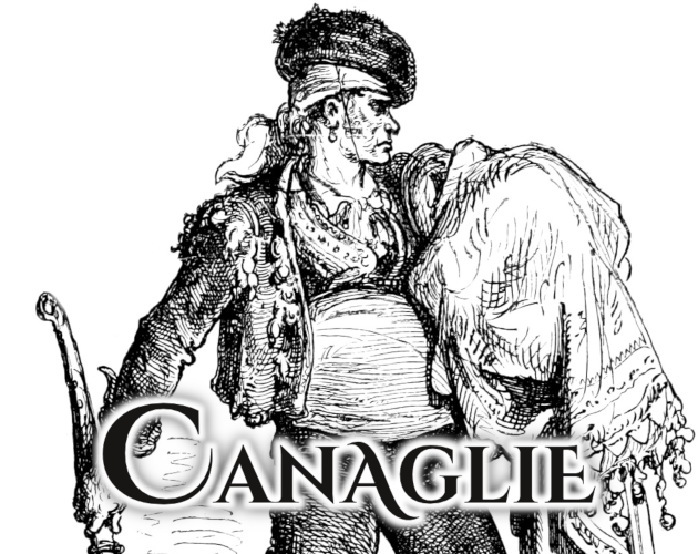Cover image for Canaglie