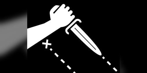 Cover image for Fiasco in the Dark