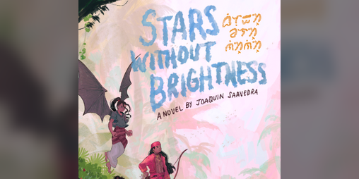 Cover image for Stars Without Brightness