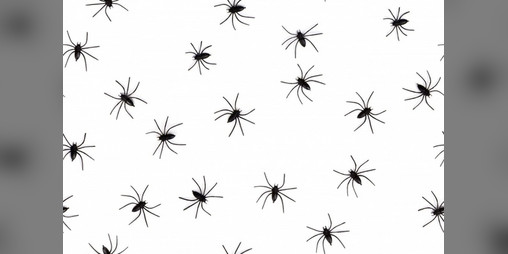 Cover image for Lords & Ladies of the Web-World