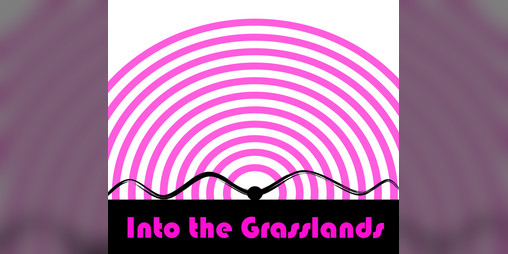 Cover image for Into The Grasslands