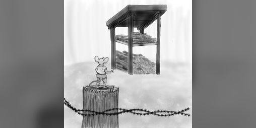 Cover image for The Woodshed