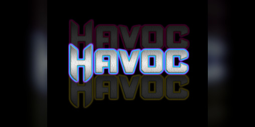 Cover image for Project Havoc