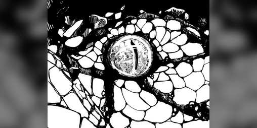 Cover image for La Tomba dei Re Serpenti
