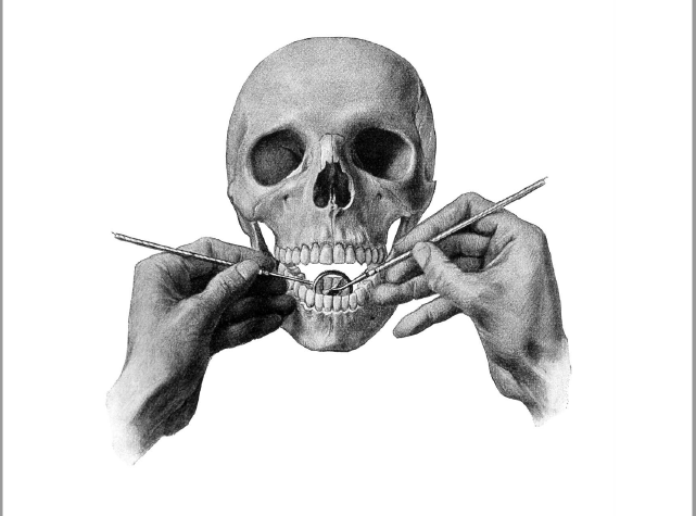 Cover image for Wages For the Dead