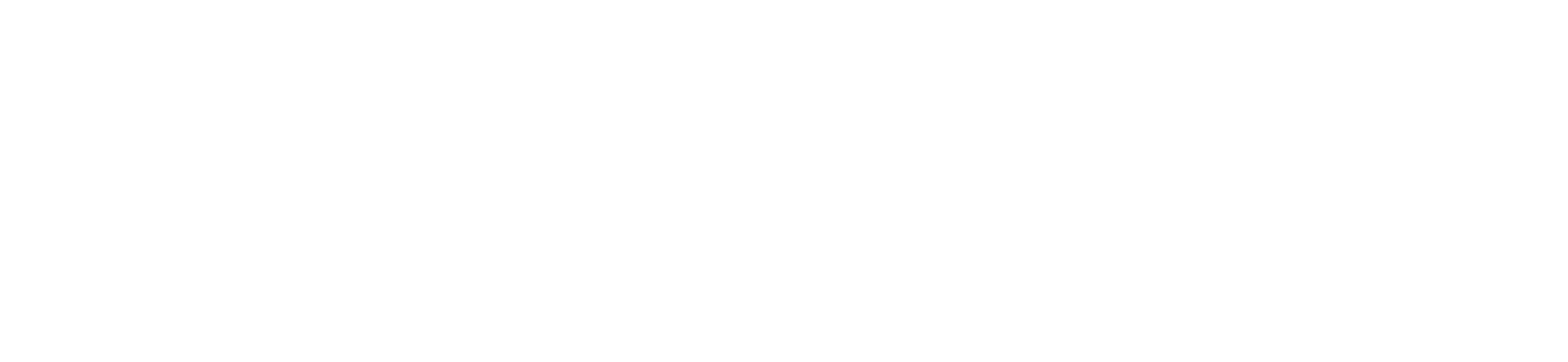 Freerunners Inc.