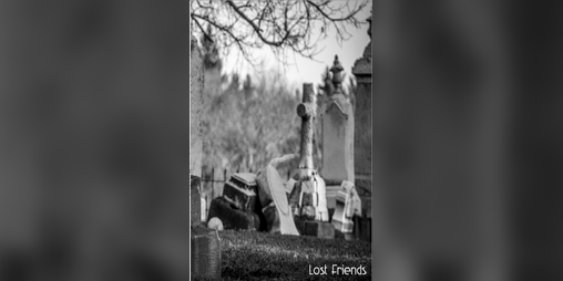 Cover image for Lost Friends