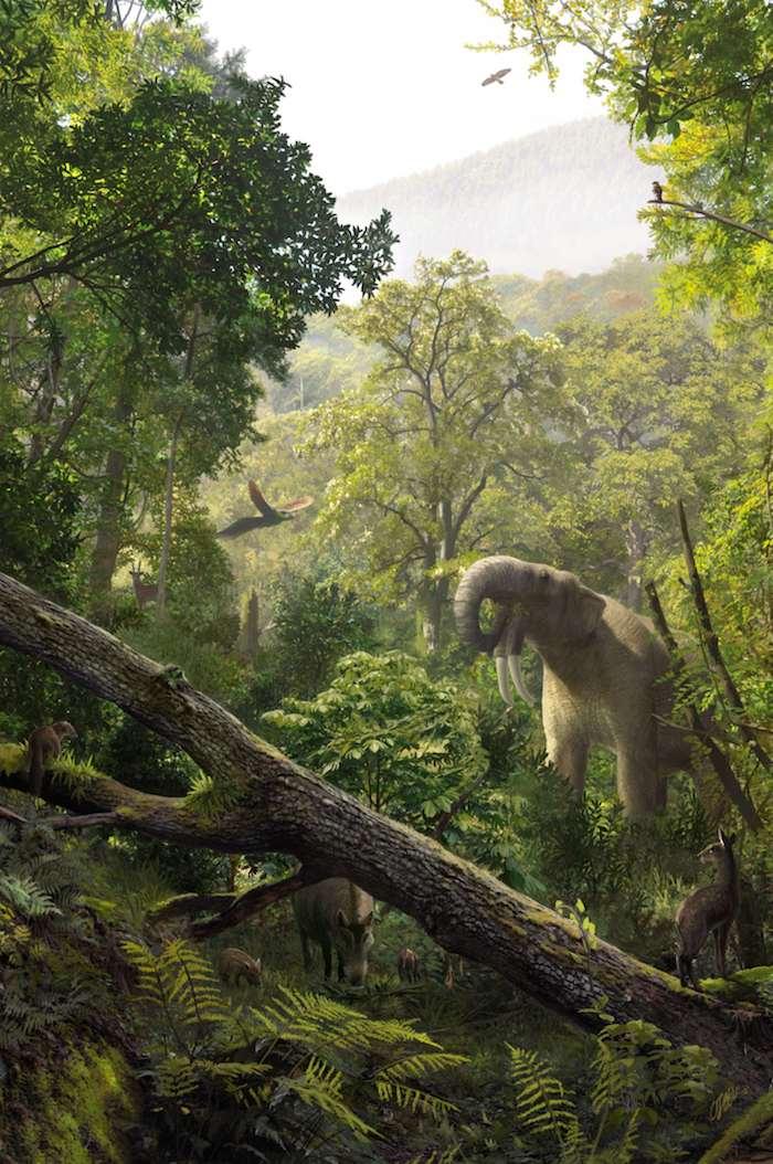 A tale 4 millions b.c.