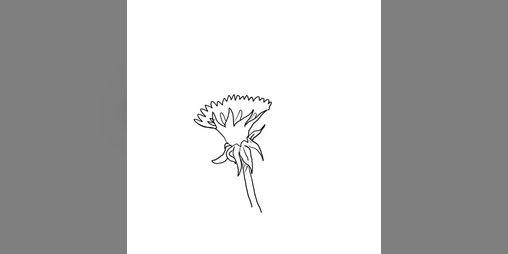 Cover image for Lilt - Animation
