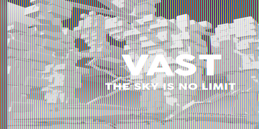 Cover image for VAST