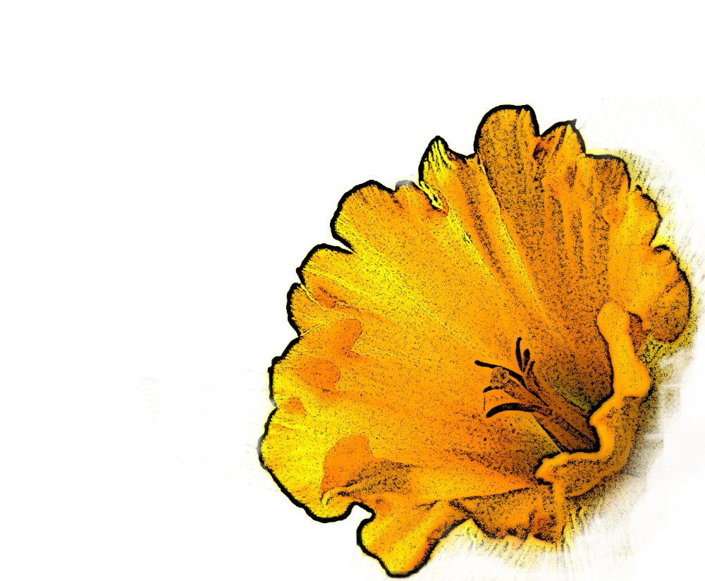 Heralded